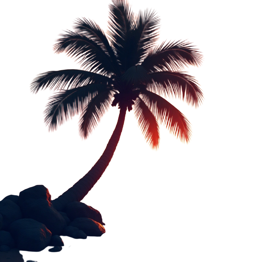 Sunset Palm Tree